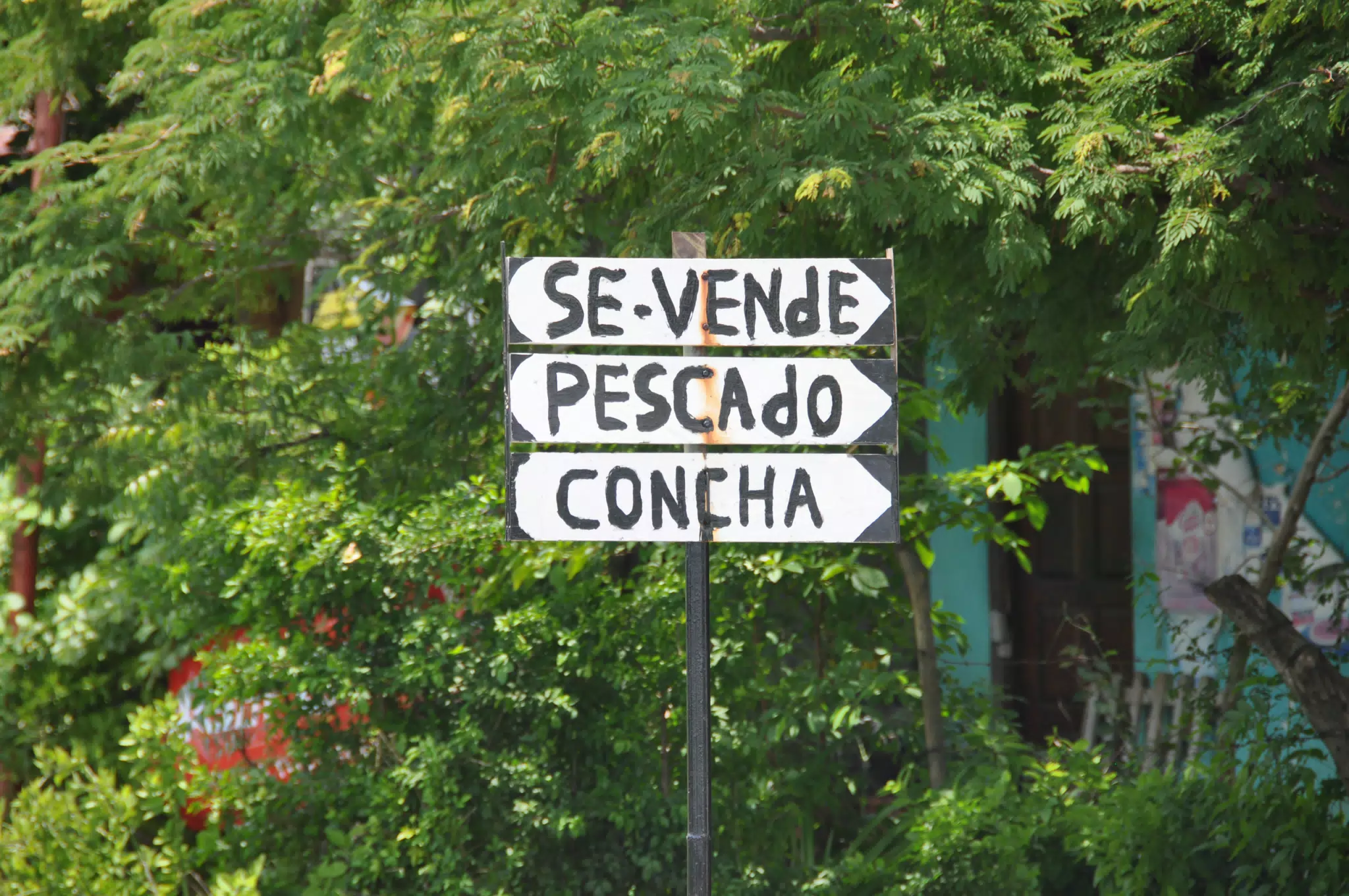 Midday Walk in Las Penitas