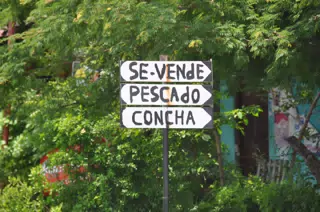 Midday Walk in Las Penitas