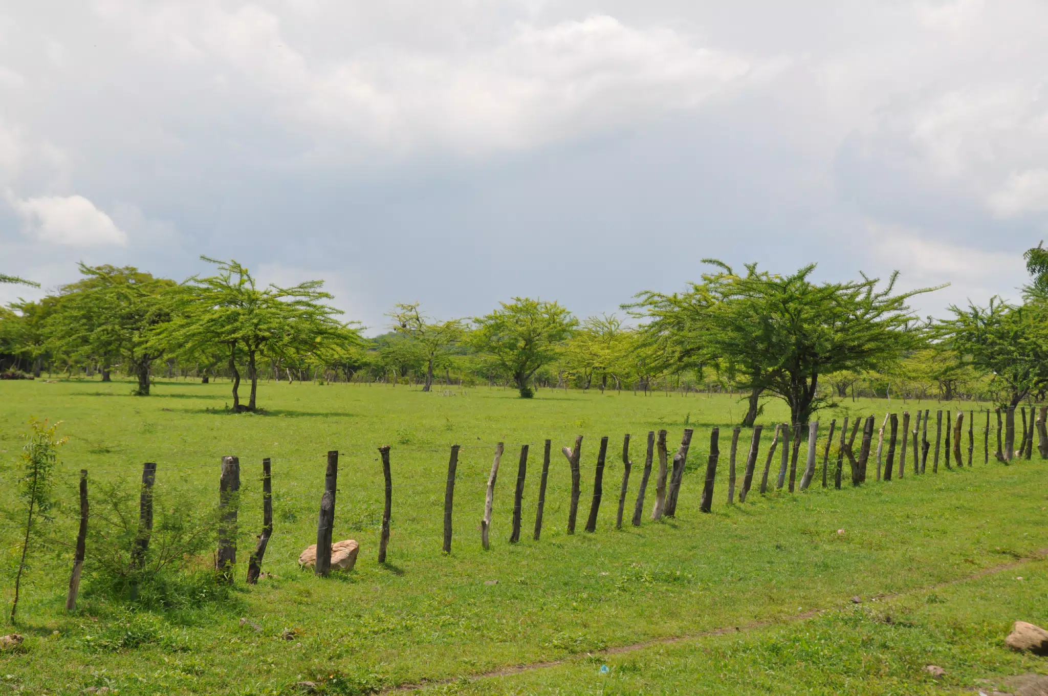 Midday Walk in Las Penitas