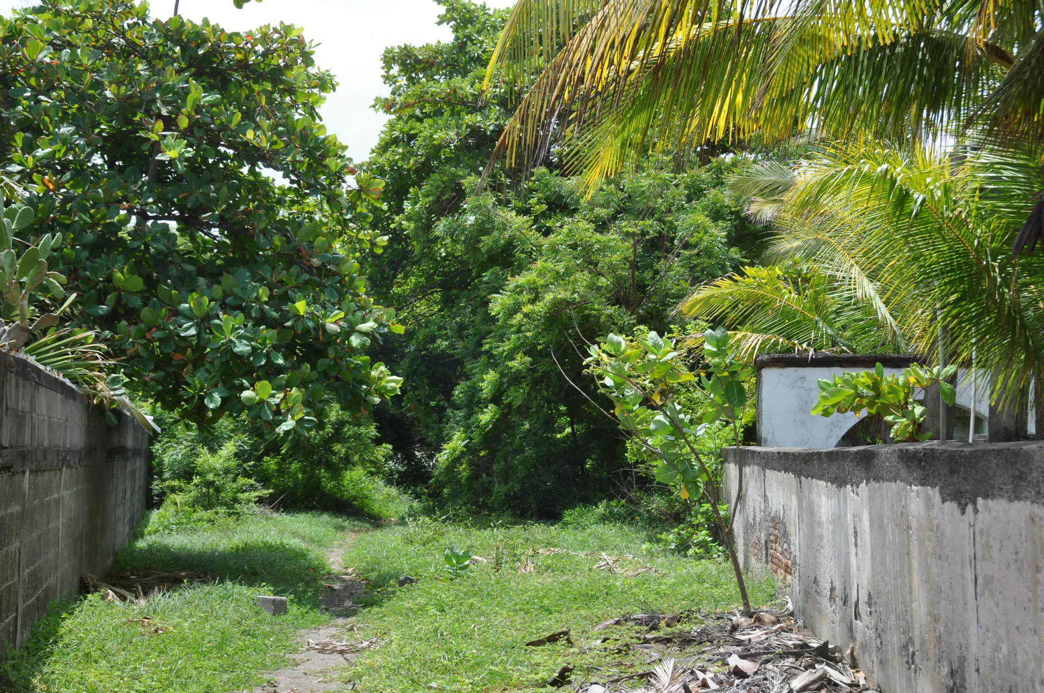 Midday Walk in Las Penitas