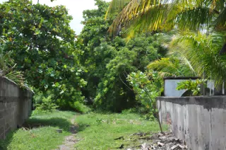Midday Walk in Las Penitas