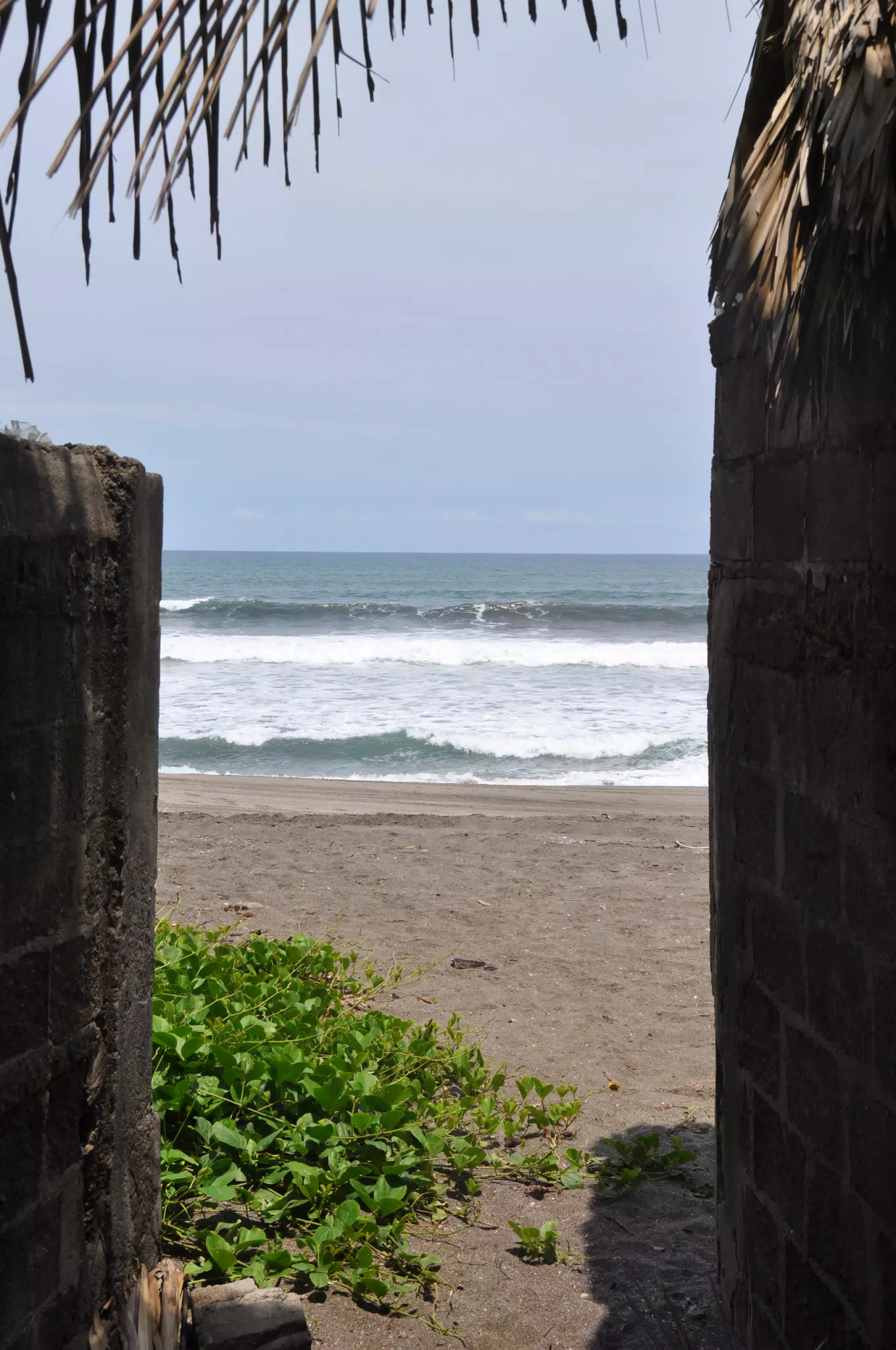 Midday Walk in Las Penitas