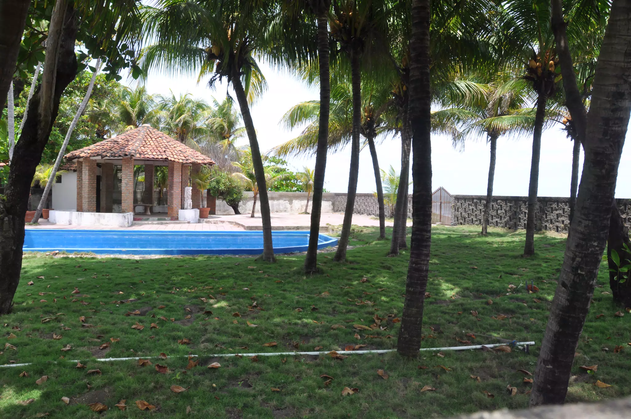 Midday Walk in Las Penitas