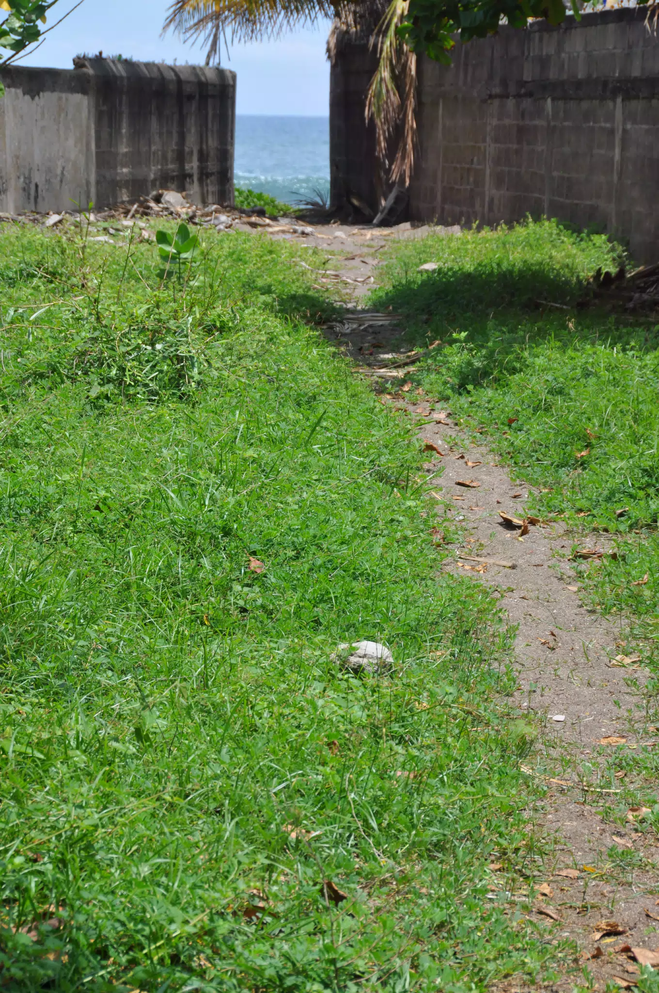 Midday Walk in Las Penitas