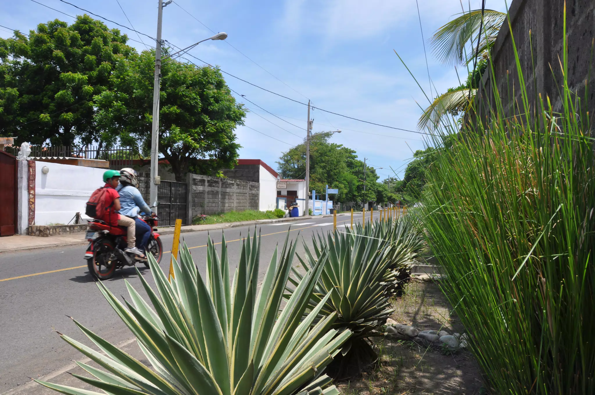 Midday Walk in Las Penitas
