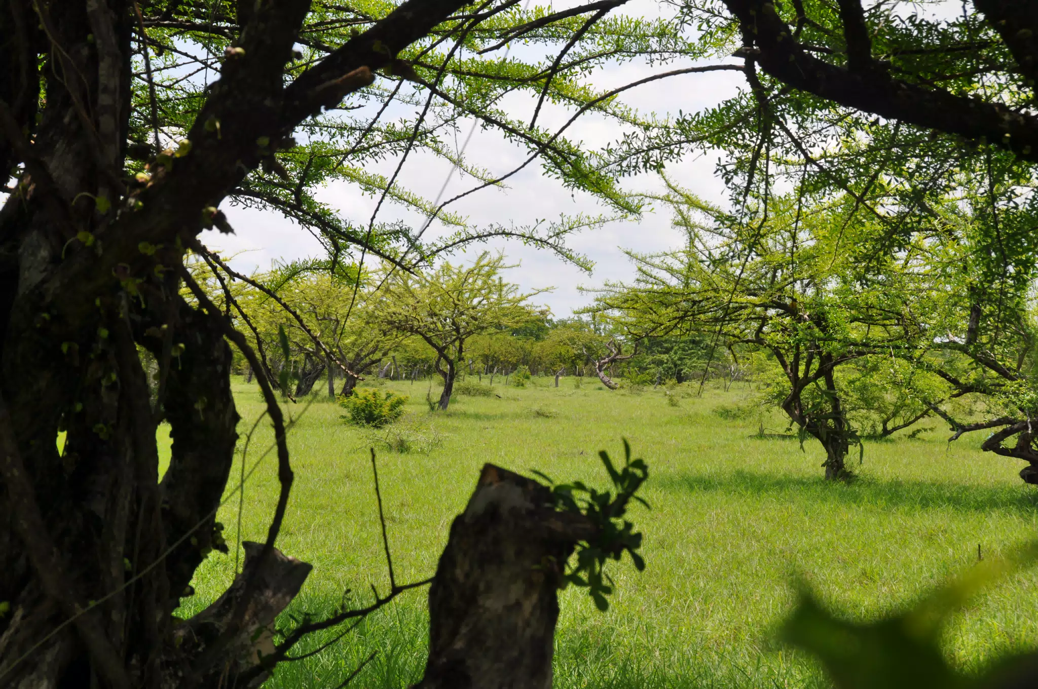 Midday Walk in Las Penitas
