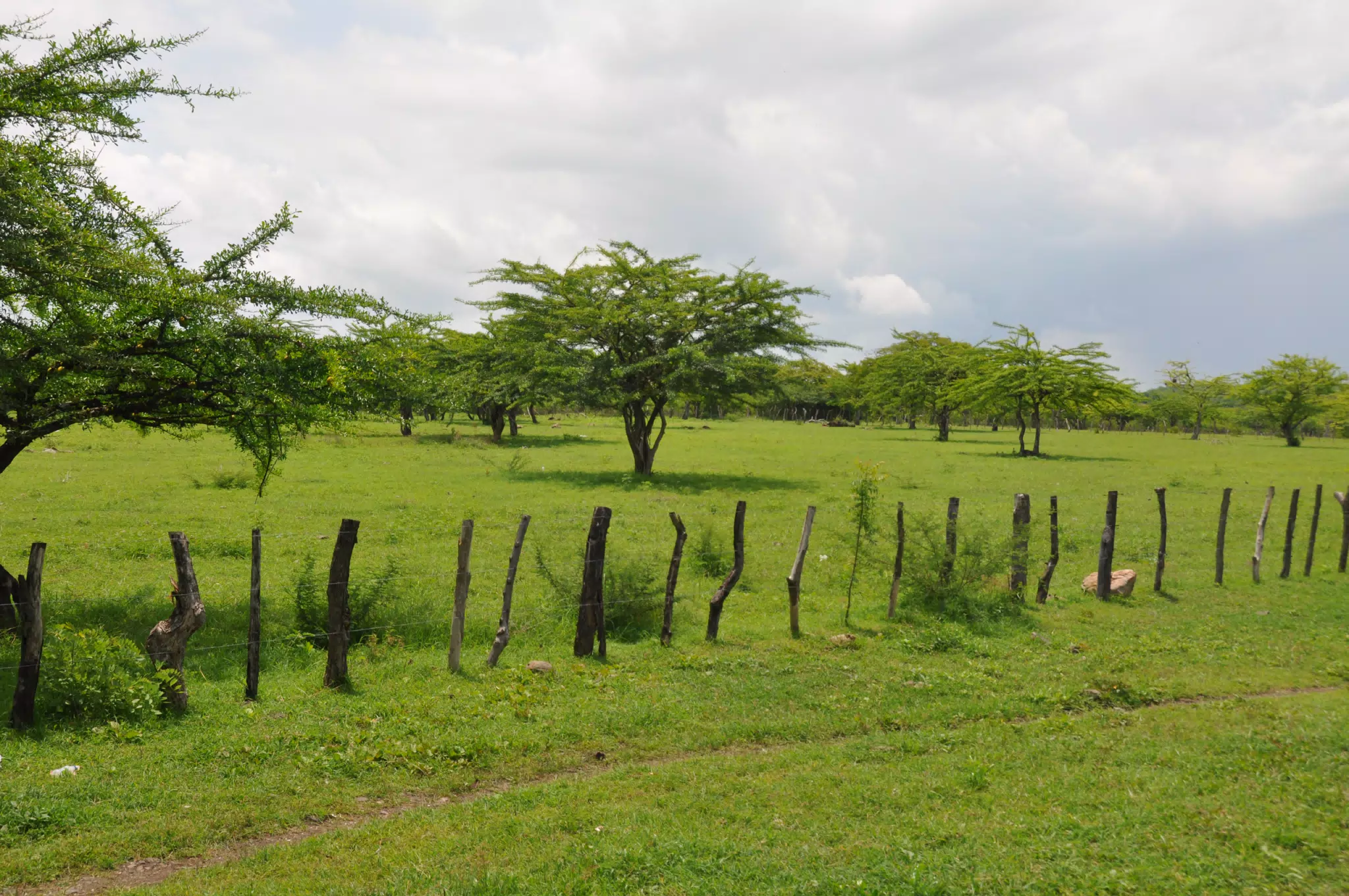 Midday Walk in Las Penitas