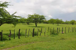 Midday Walk in Las Penitas