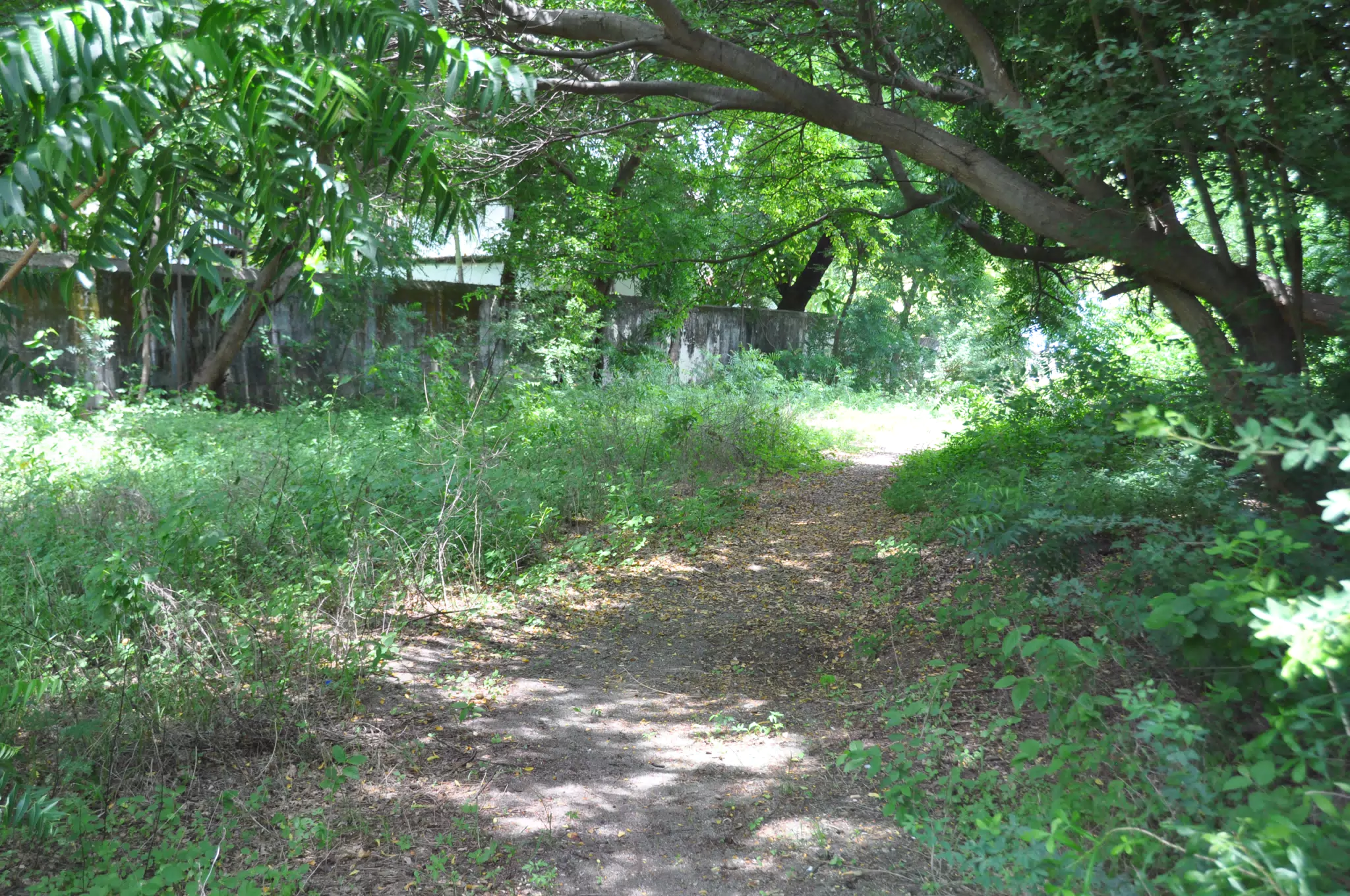 Midday Walk in Las Penitas