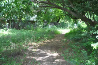 Midday Walk in Las Penitas