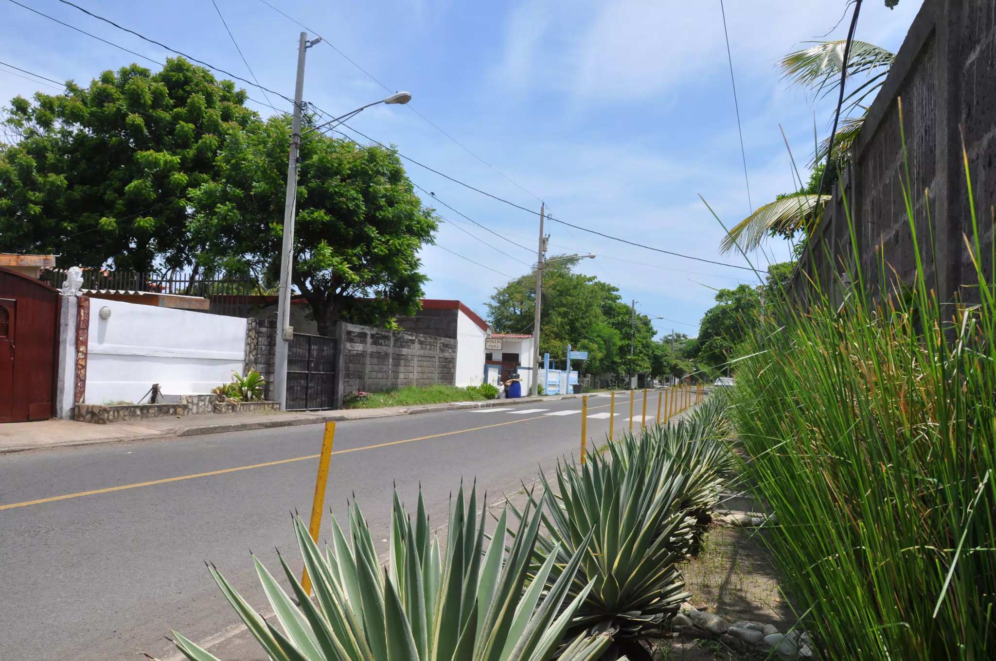 Midday Walk in Las Penitas