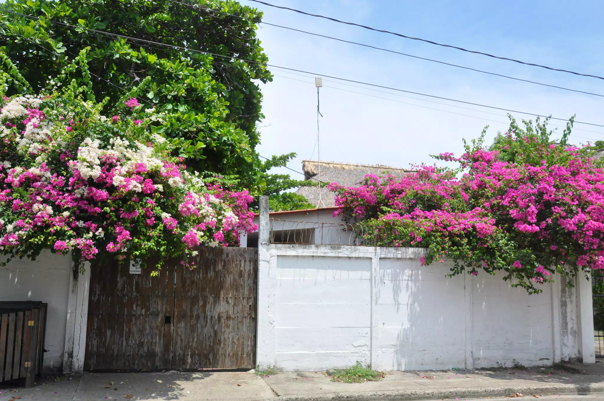 Midday Walk in Las Penitas