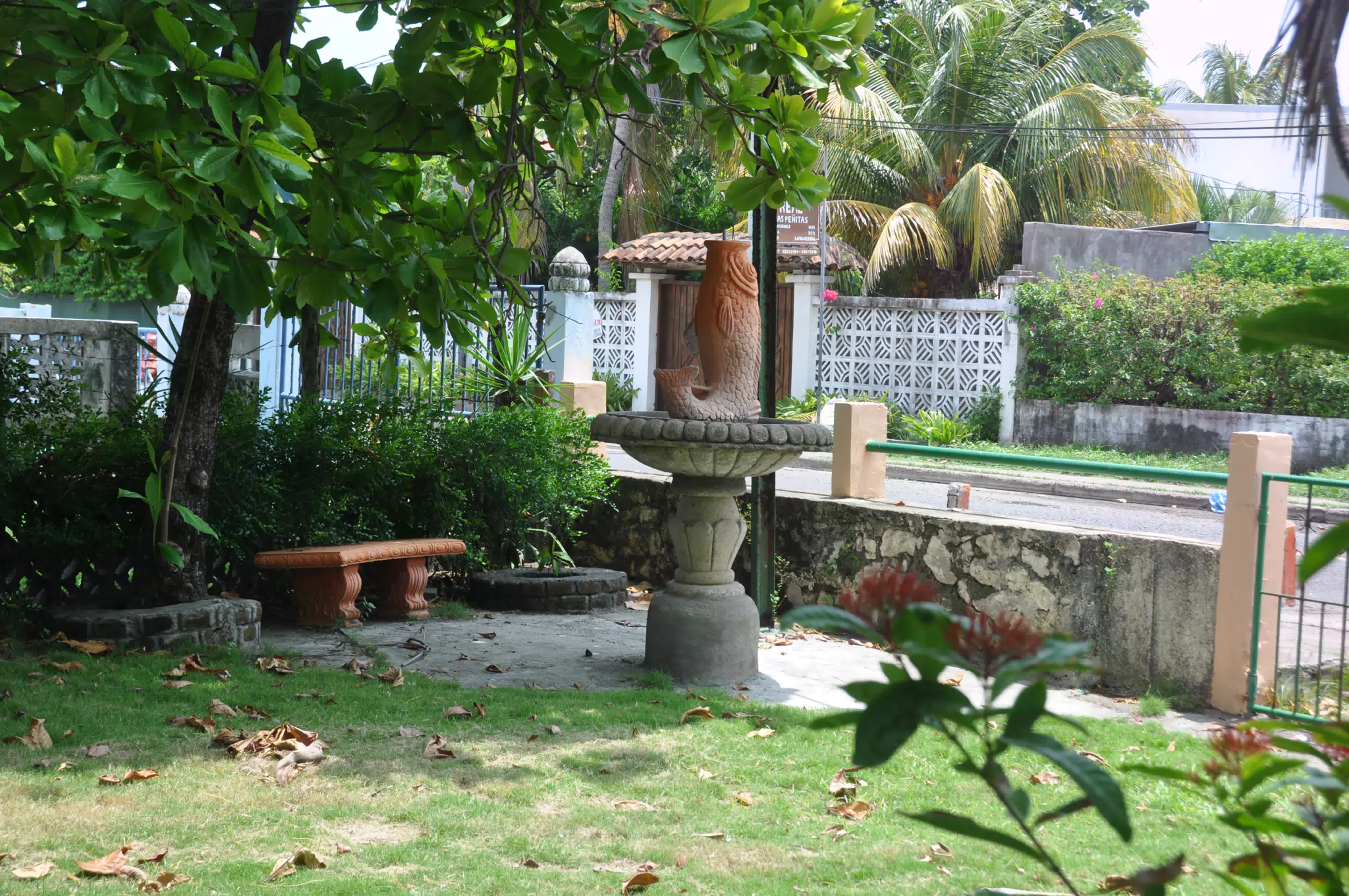 Midday Walk in Las Penitas