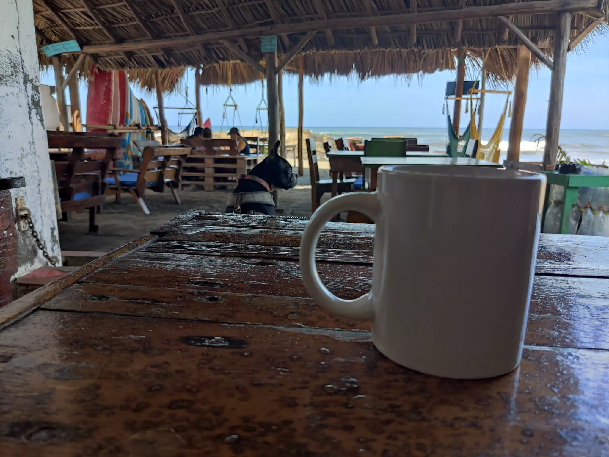 Morning Coffee