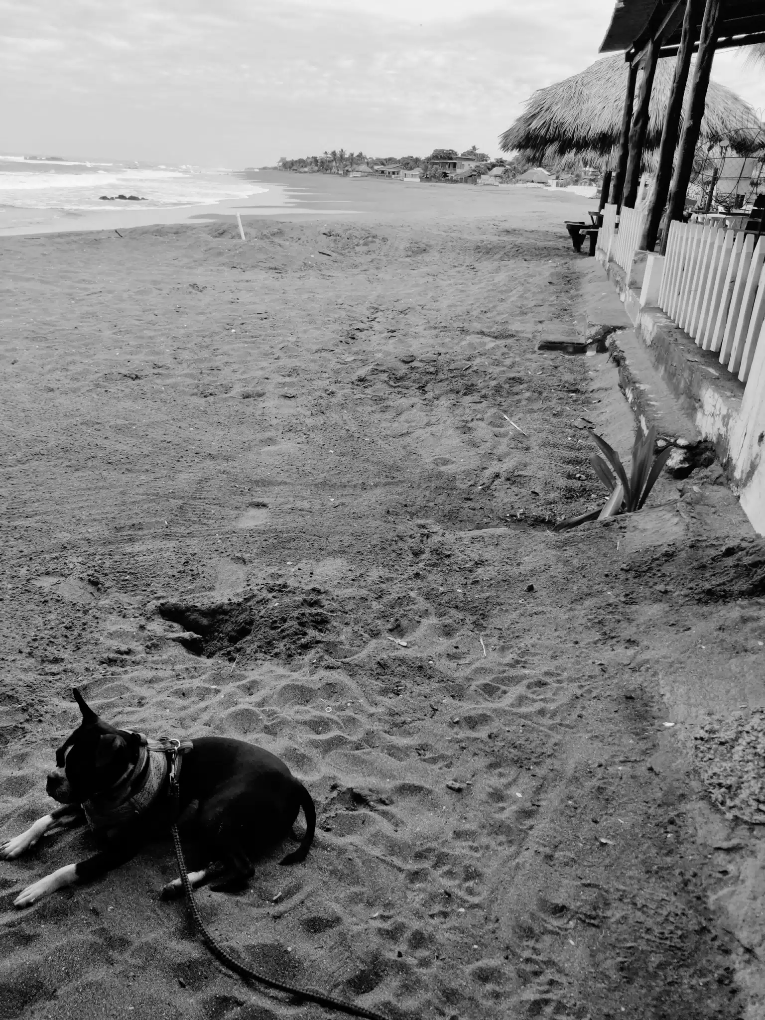 Clive Relaxing on the Beach