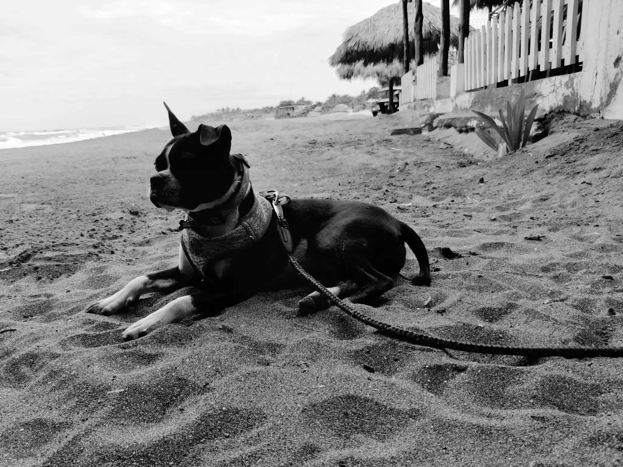 Clive on the Beach