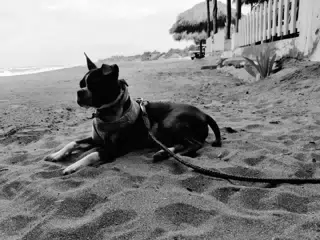 Clive on the Beach