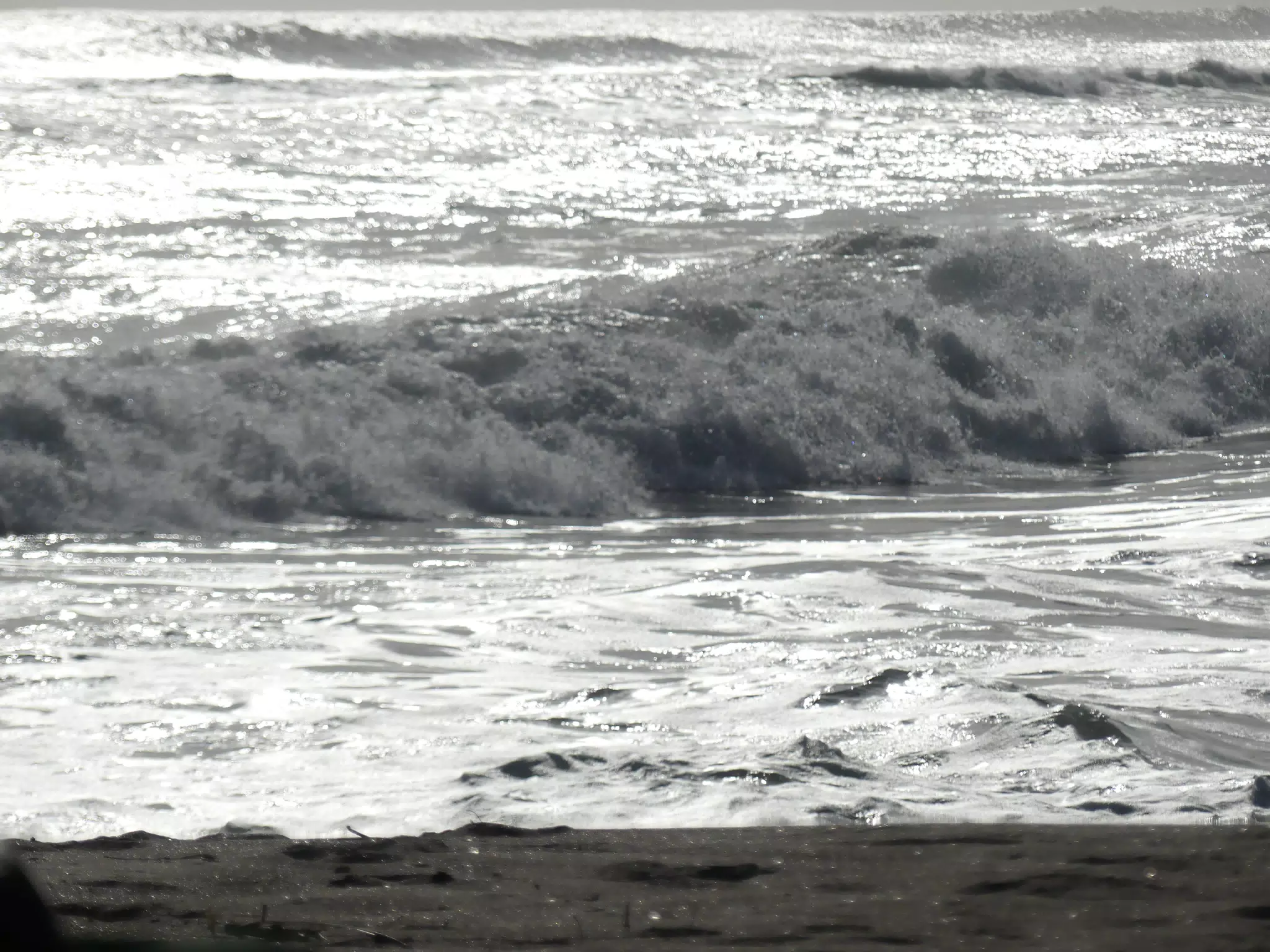 Beach Shots