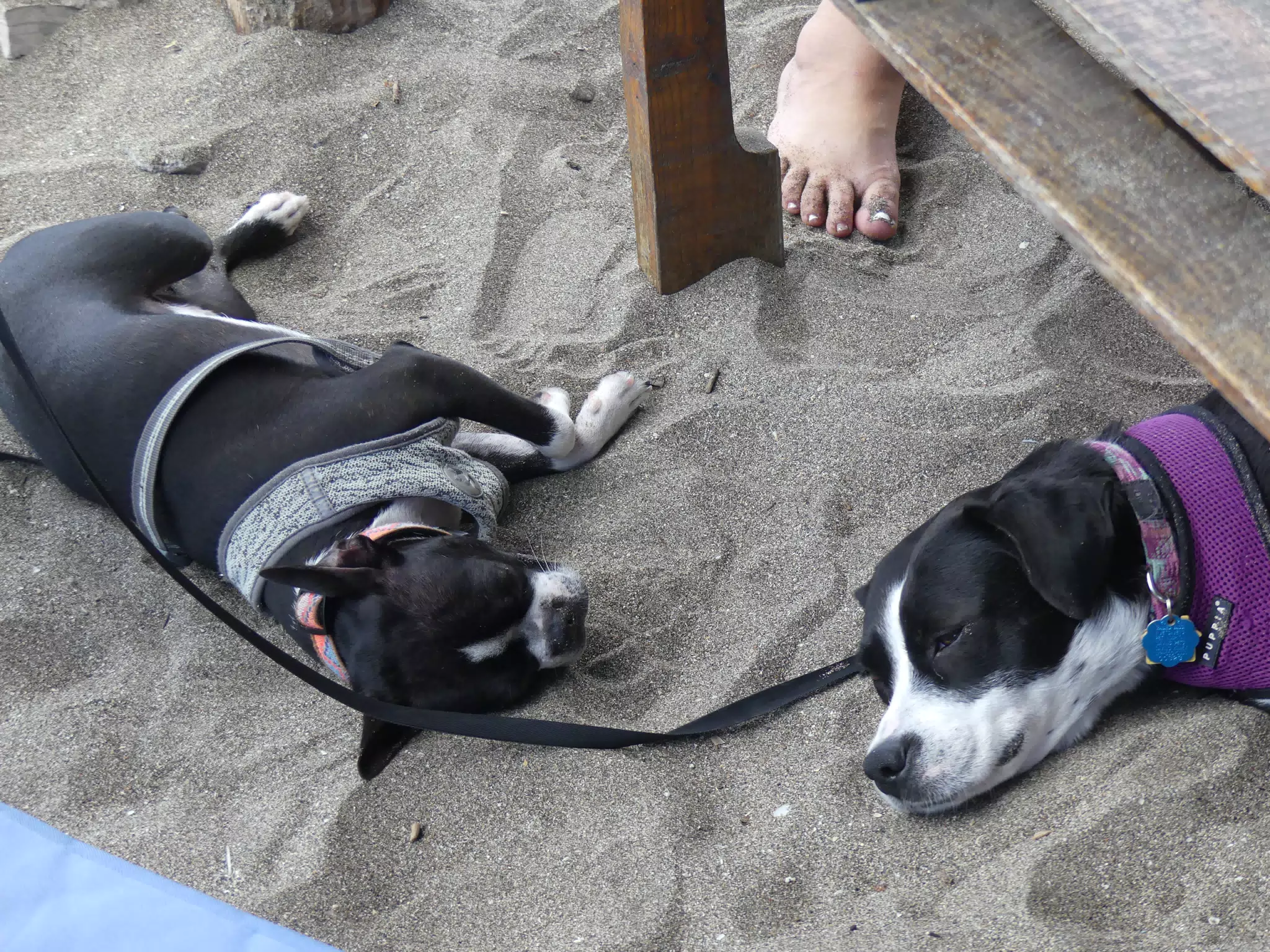 Beach Shots