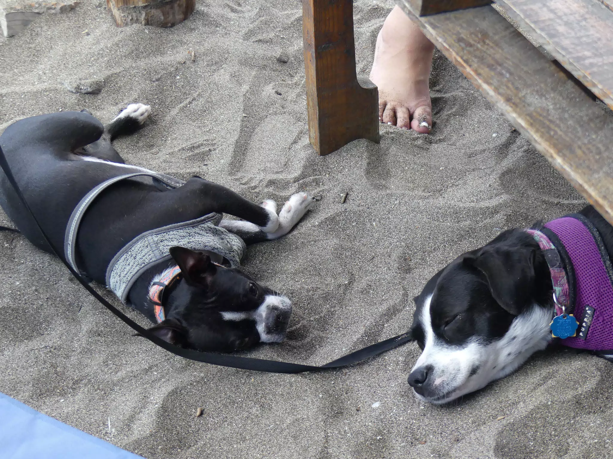 Beach Shots