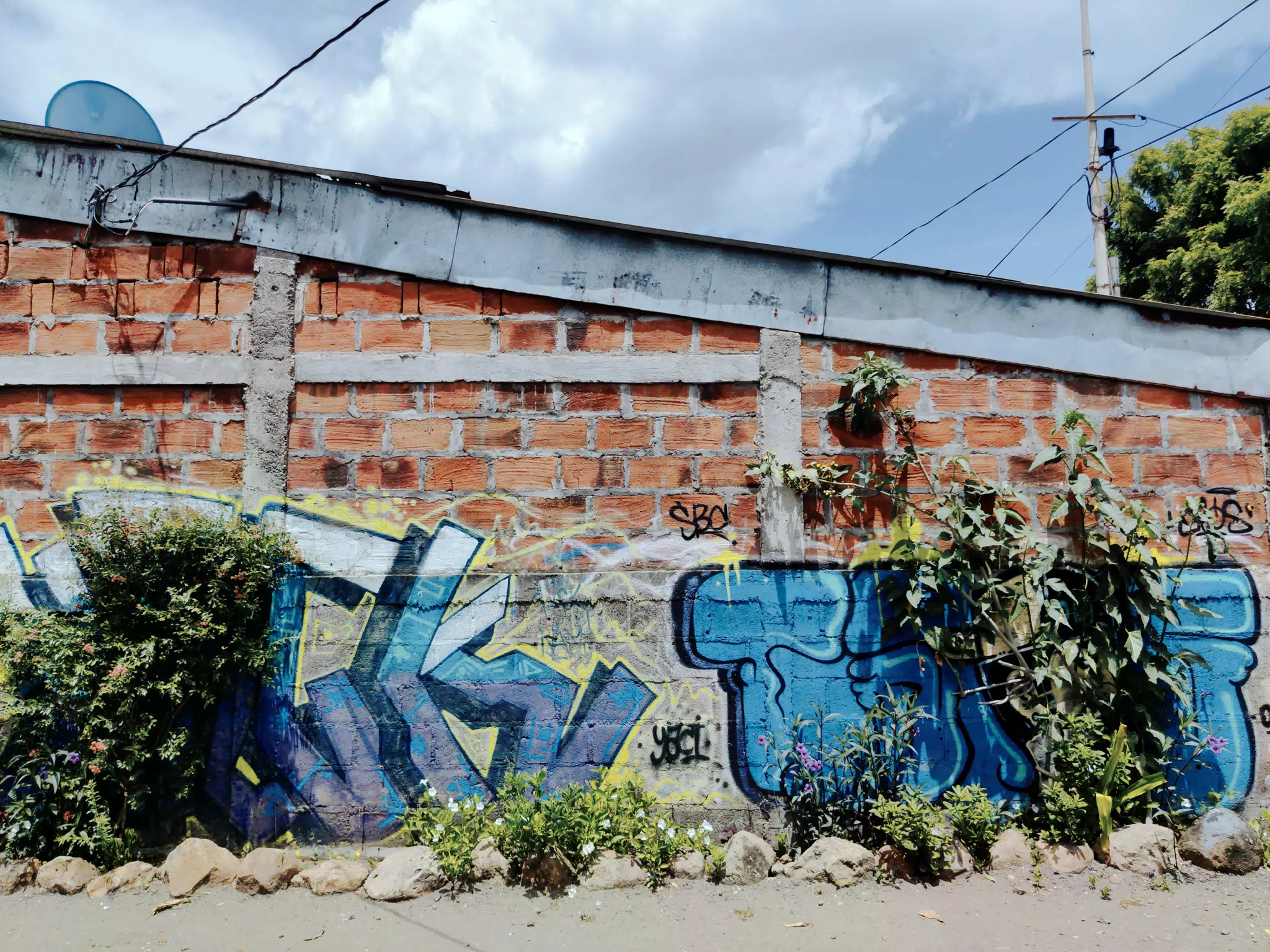 Pulperia Wall