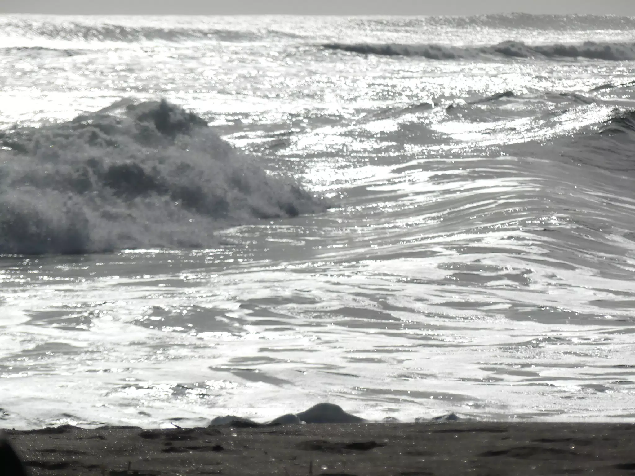 Beach Shots