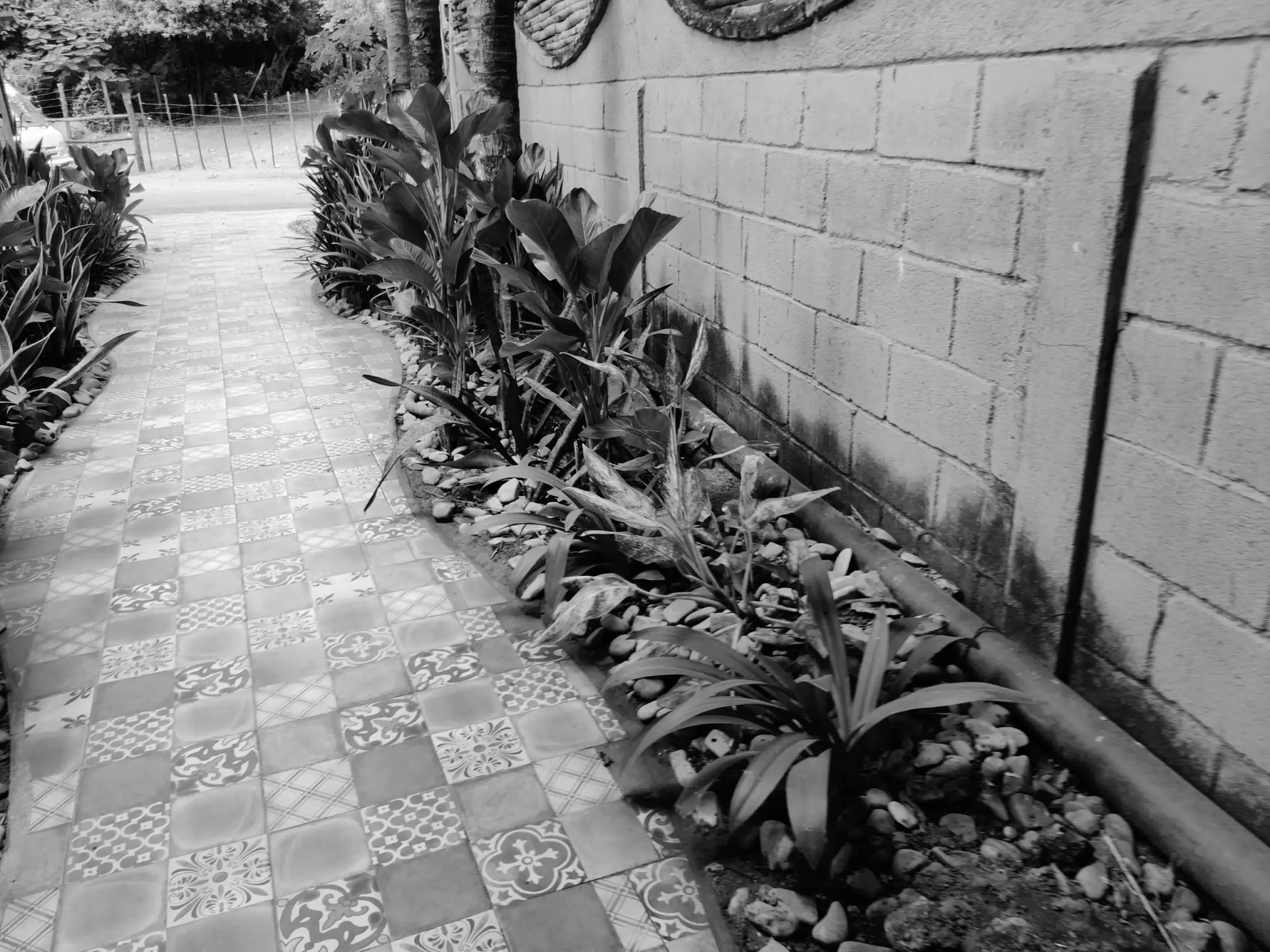 Plants and Tiles