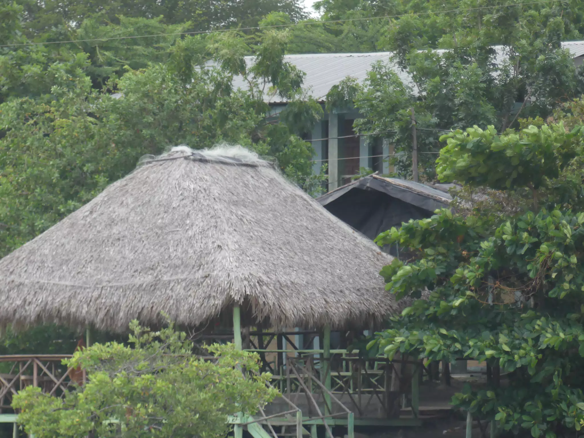 Homes on the Estuary in Las Penitas