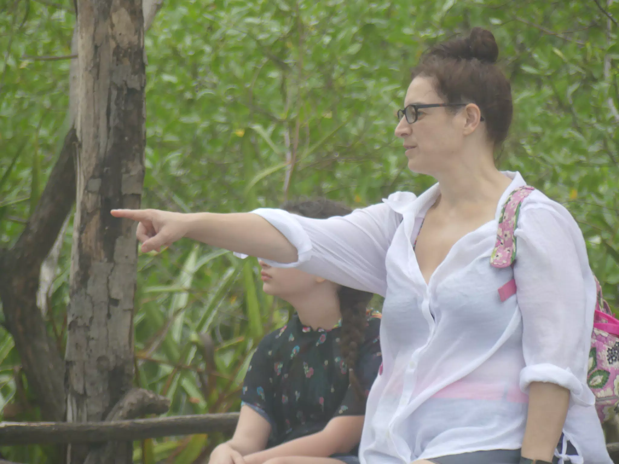 Taking the San Juan Venado Tour
