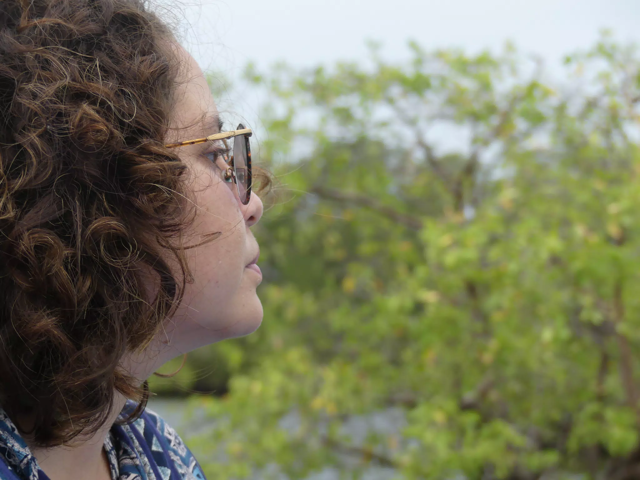 Taking the San Juan Venado Tour