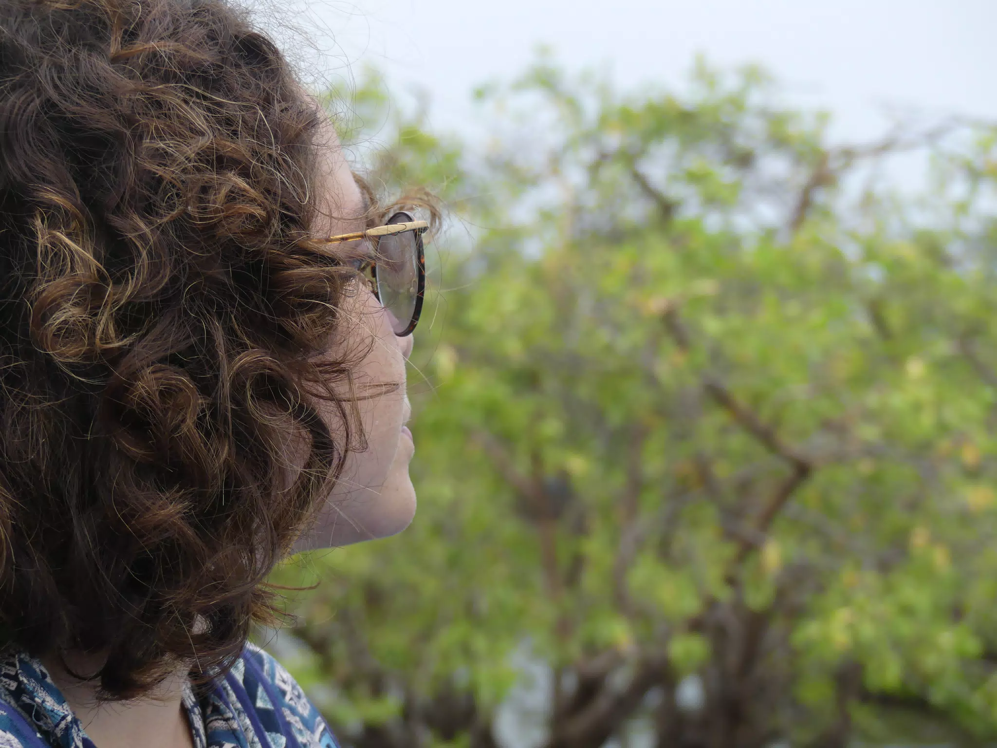 Taking the San Juan Venado Tour