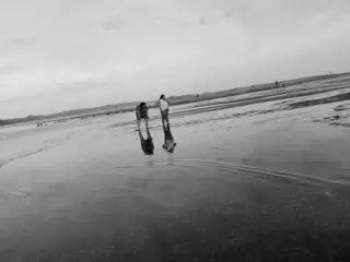 Wading in the Estuary