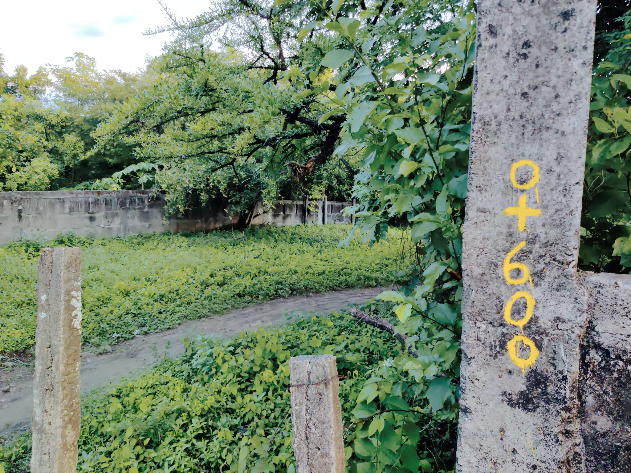 Photowalk July 31