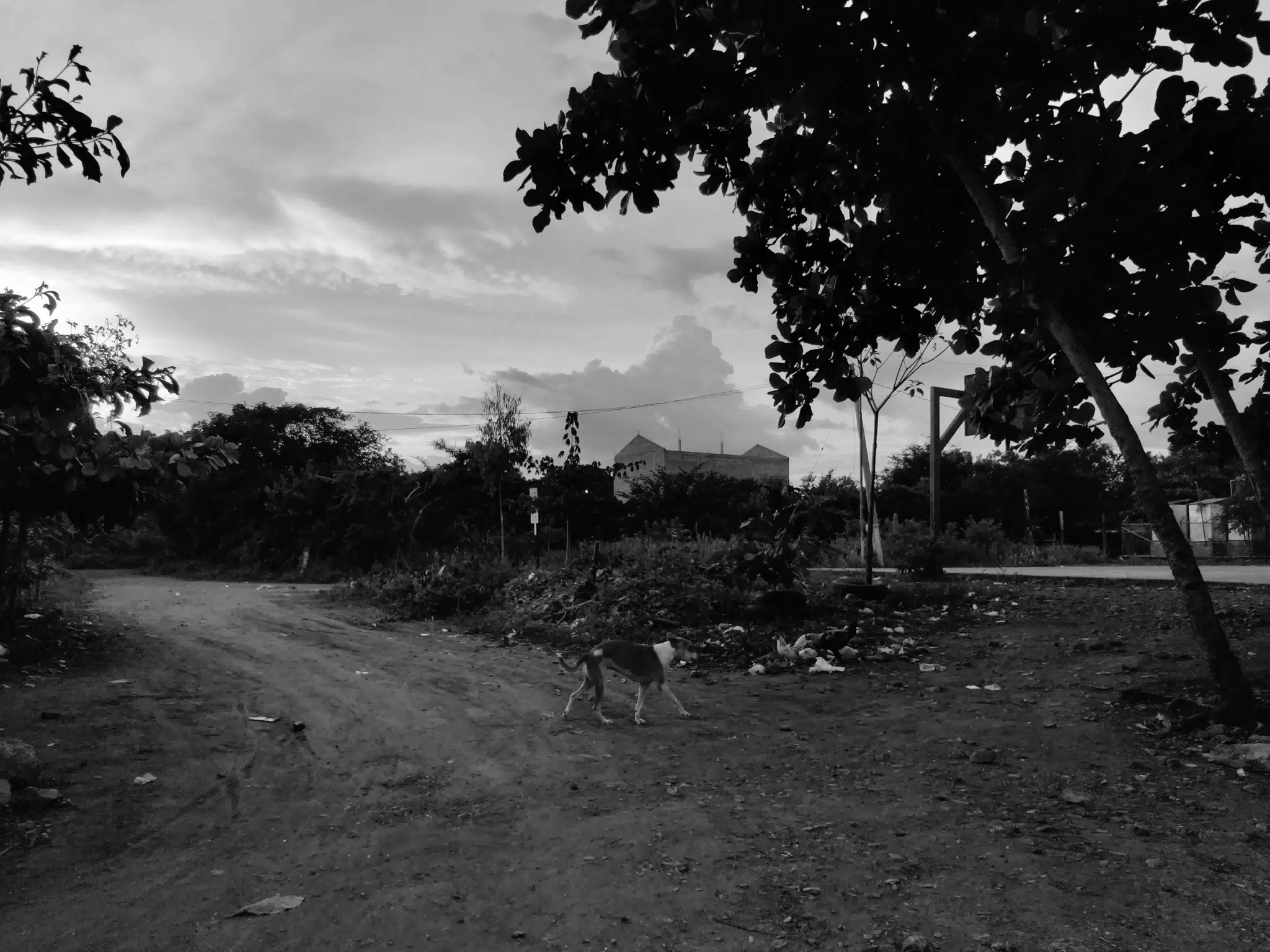 Photowalk July 31