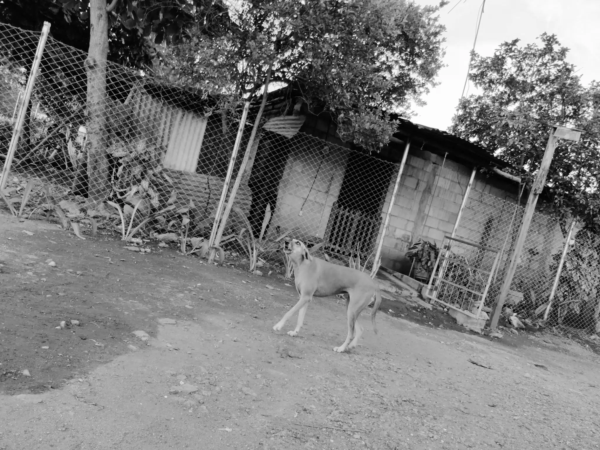 Photowalk July 31