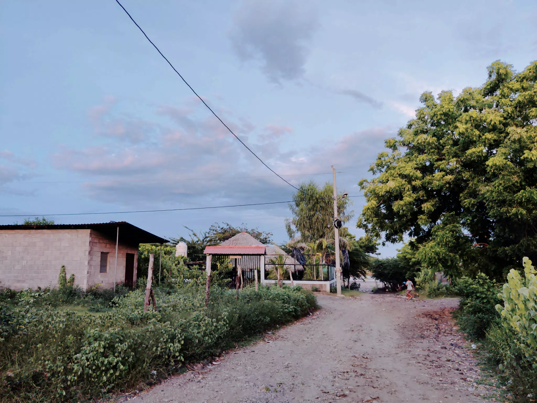 Photowalk July 31