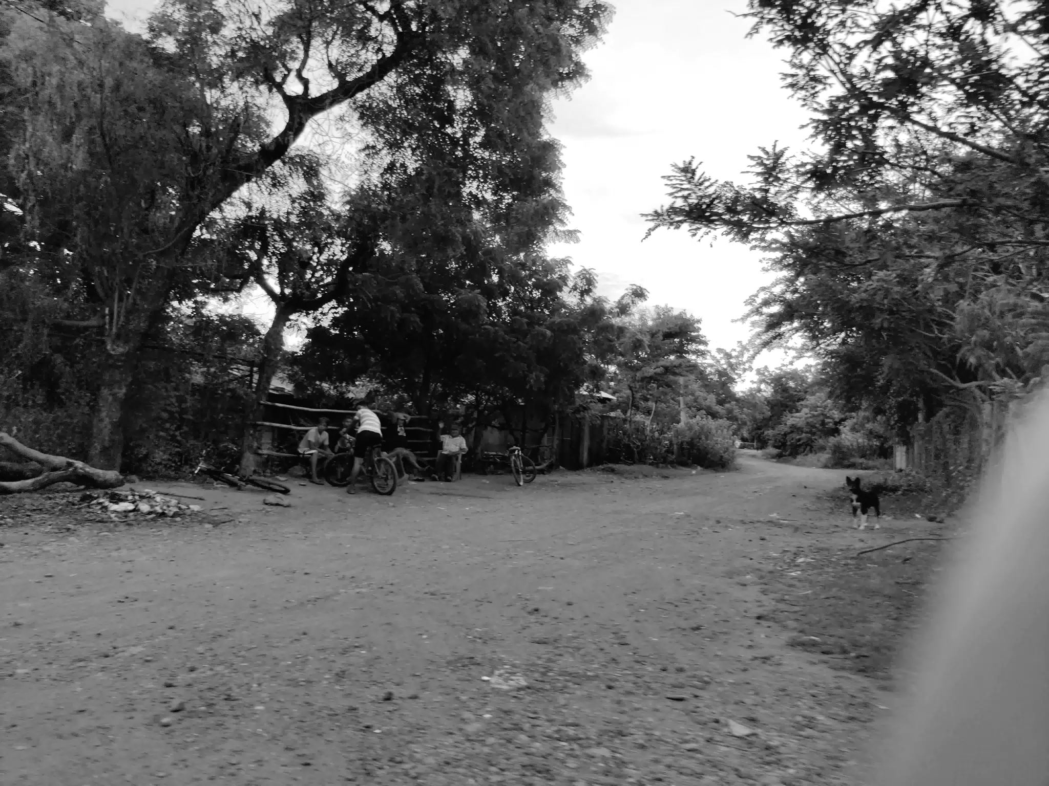 Photowalk July 31