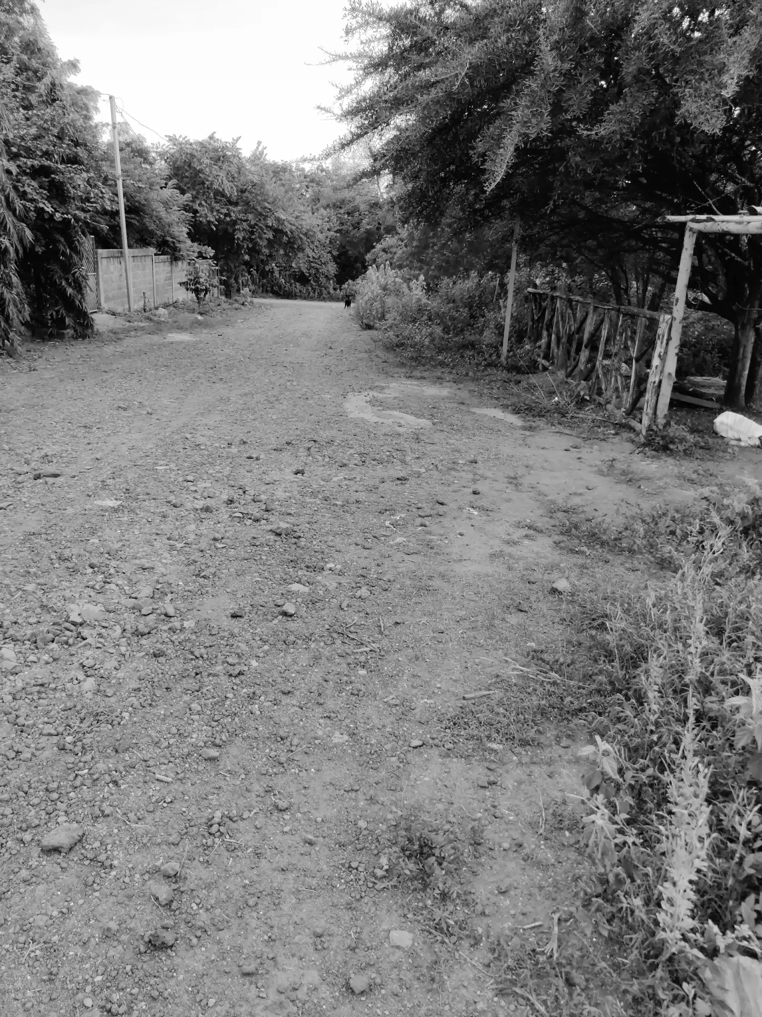 Photowalk July 31