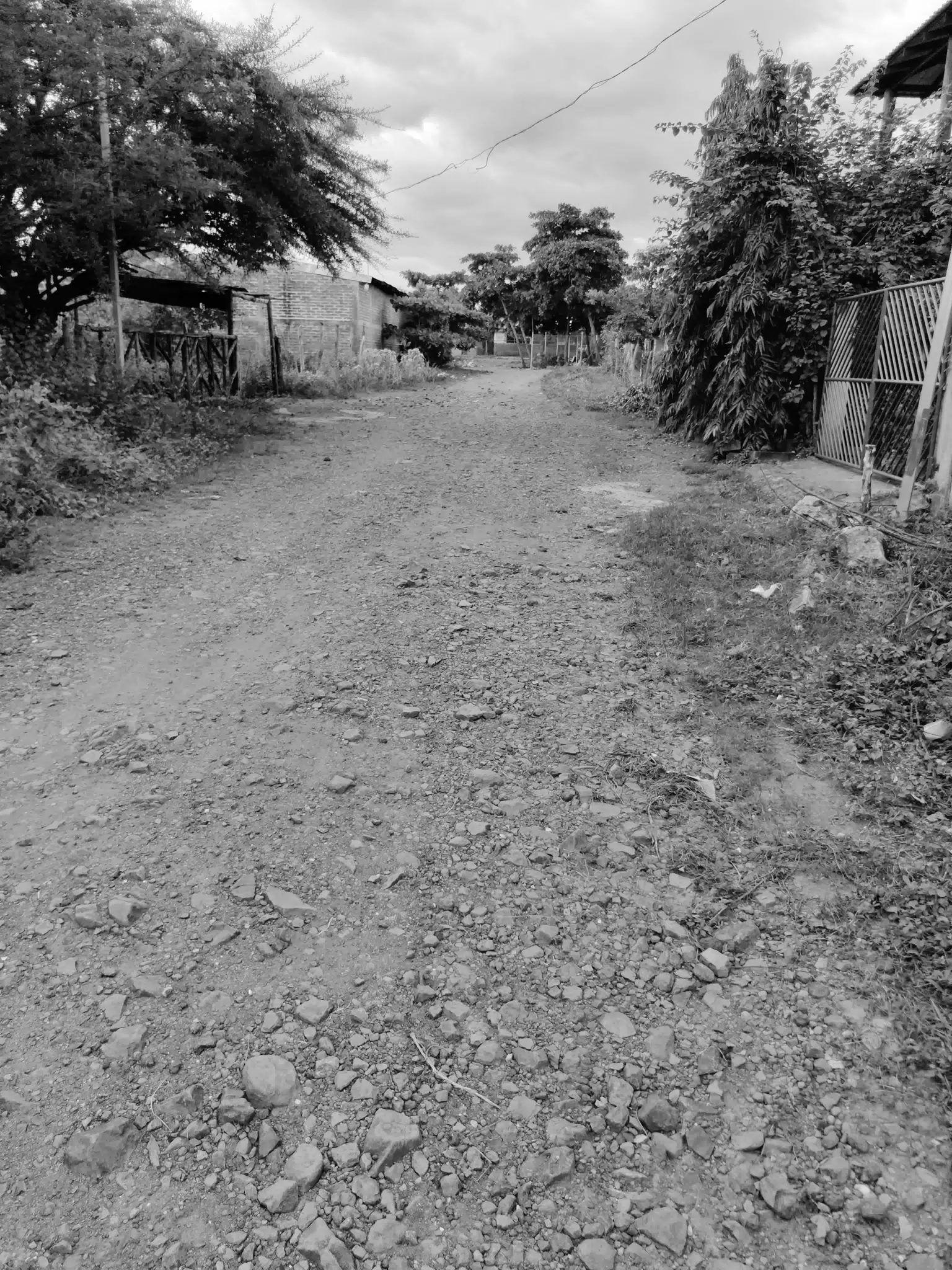 Photowalk July 31