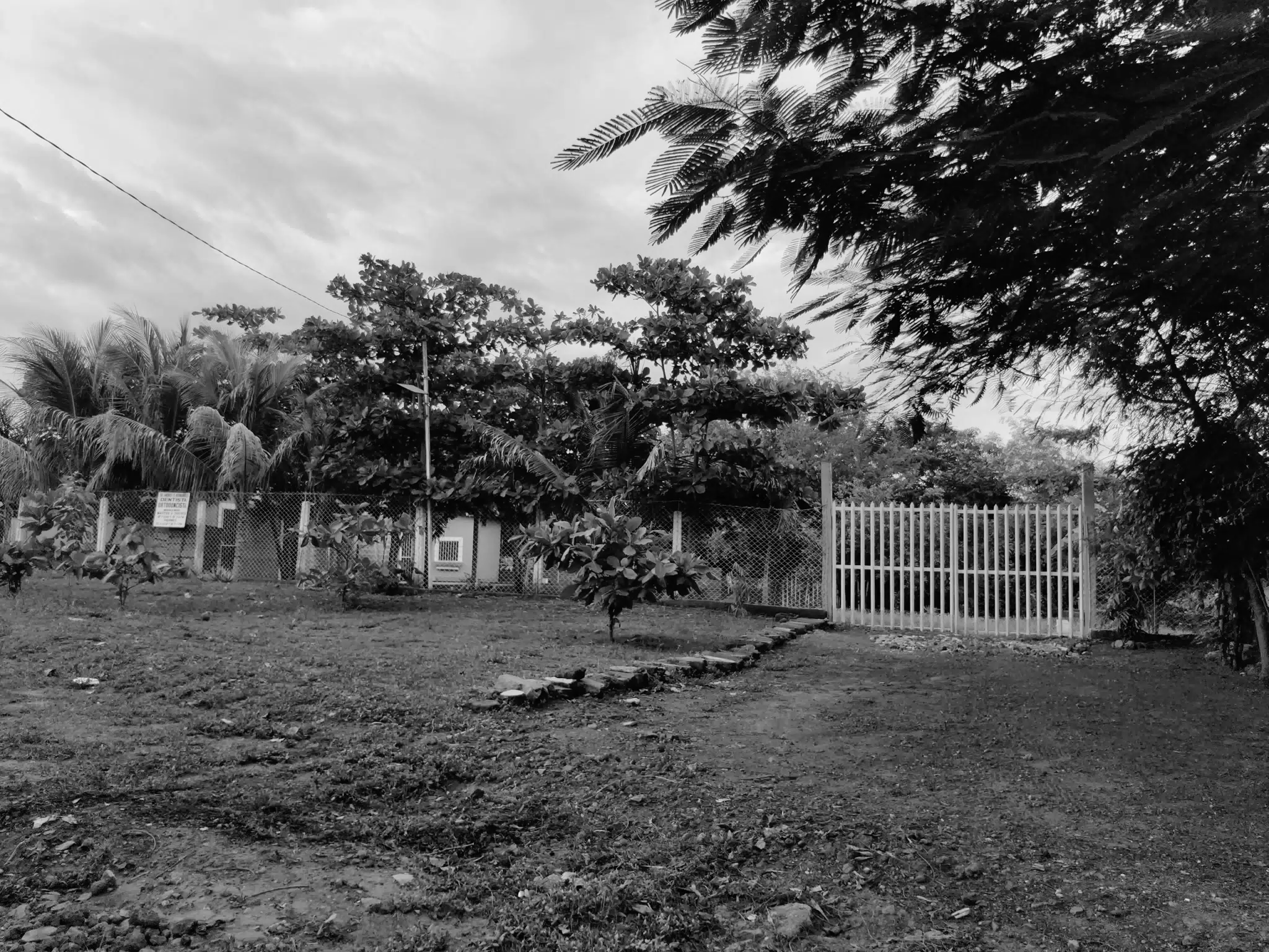 Photowalk July 31