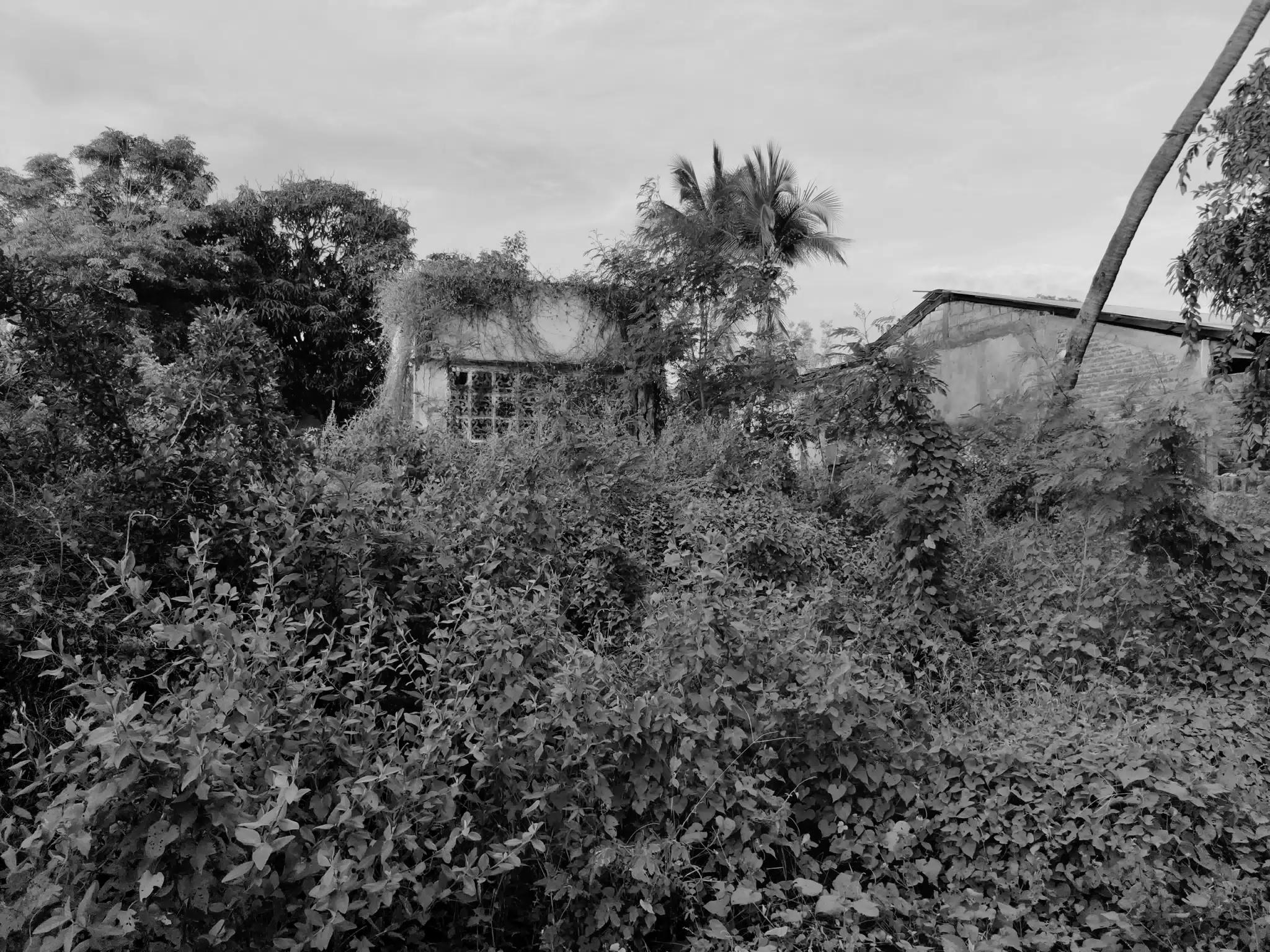 Abandoned Hotel - Photowalk July 31