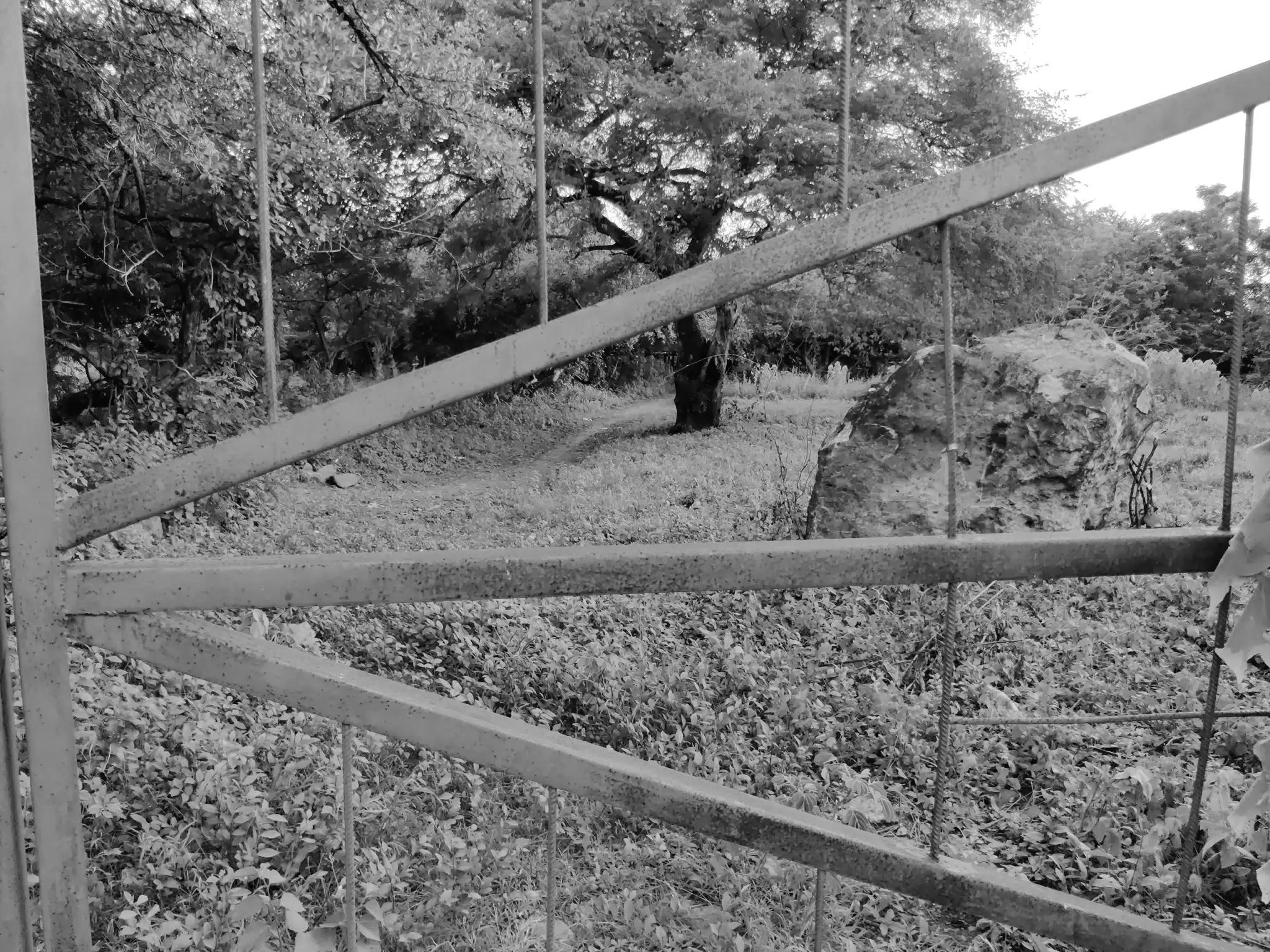 Photowalk July 31