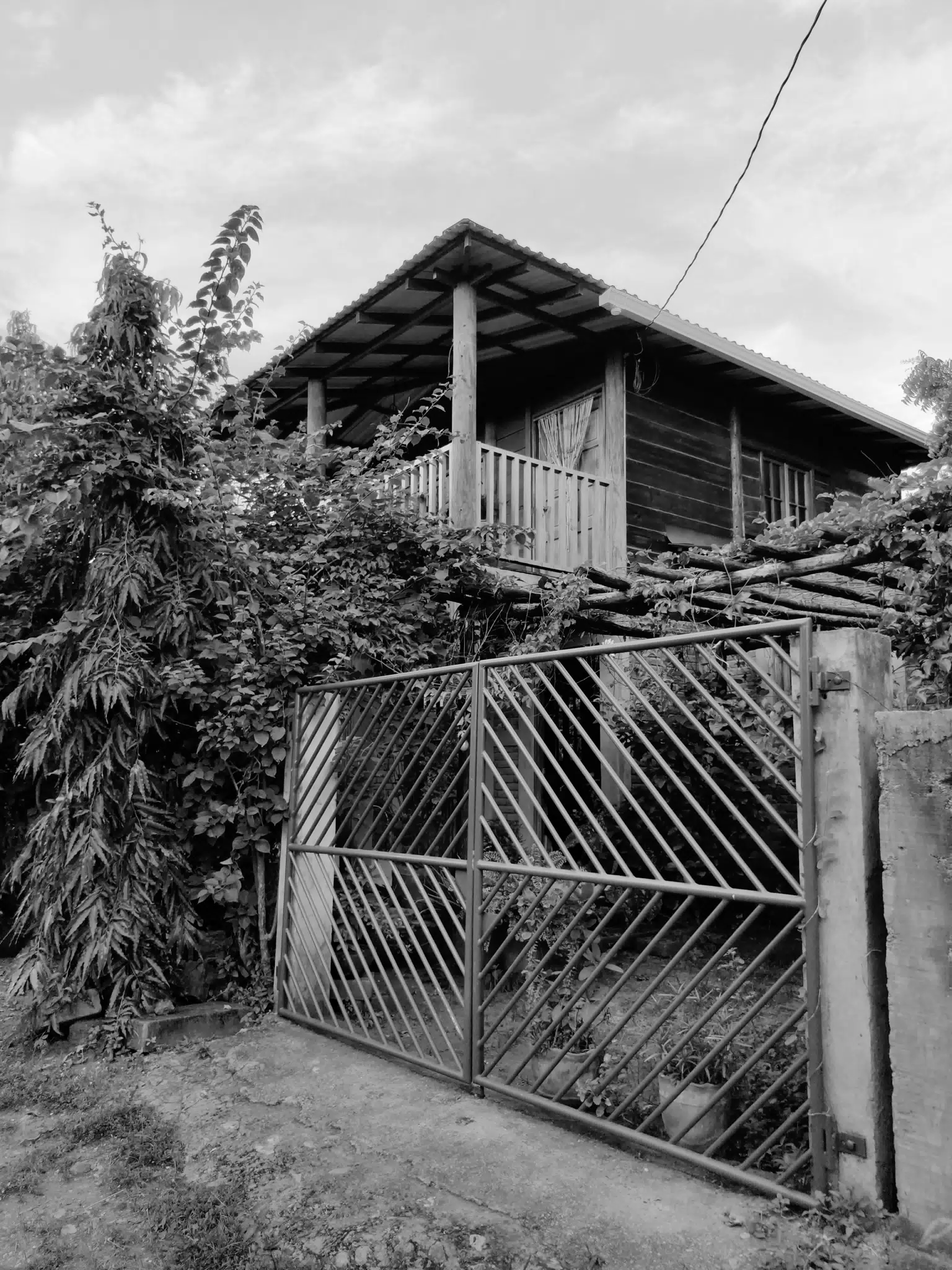 Photowalk July 31