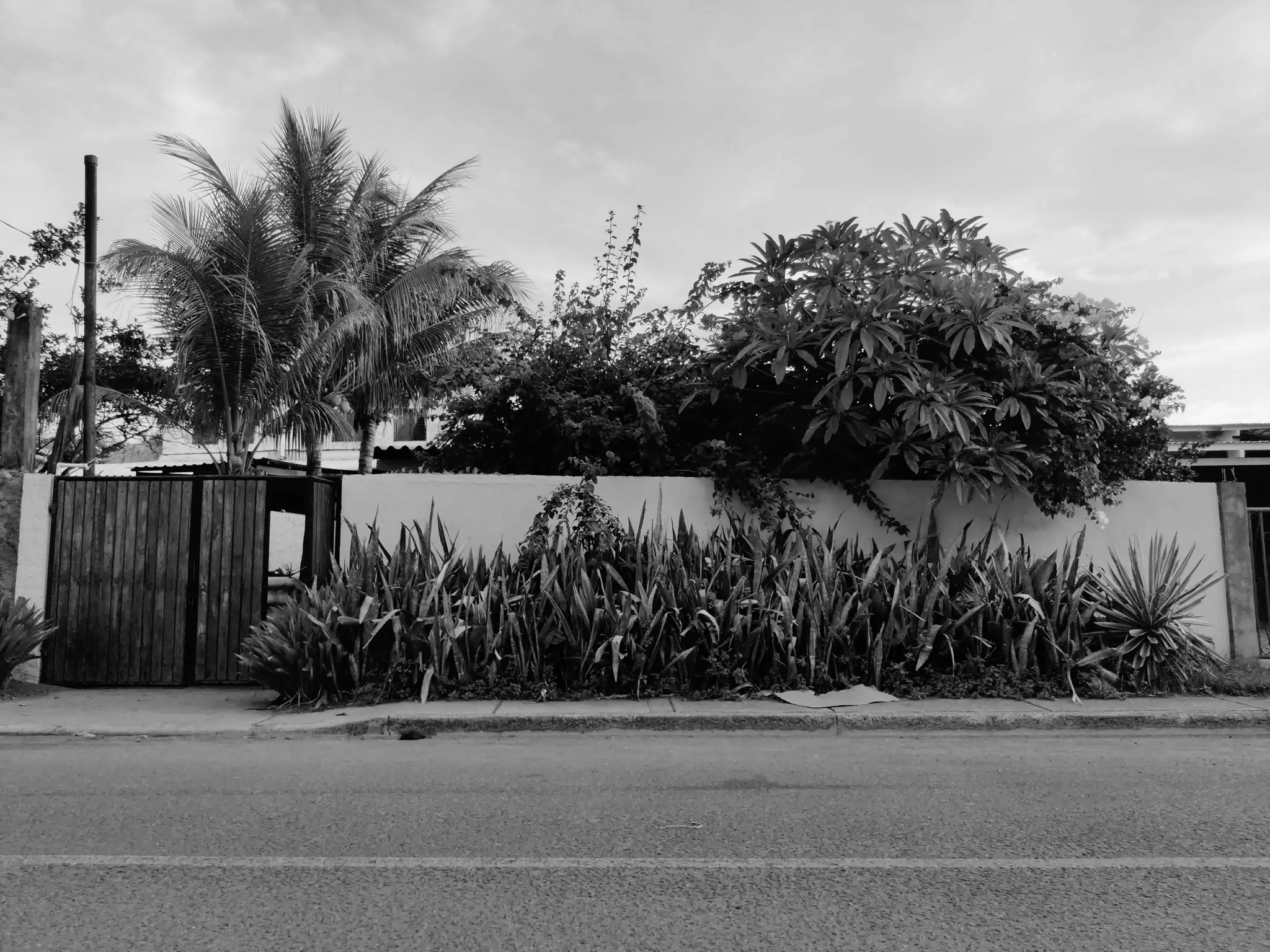 Photowalk July 31