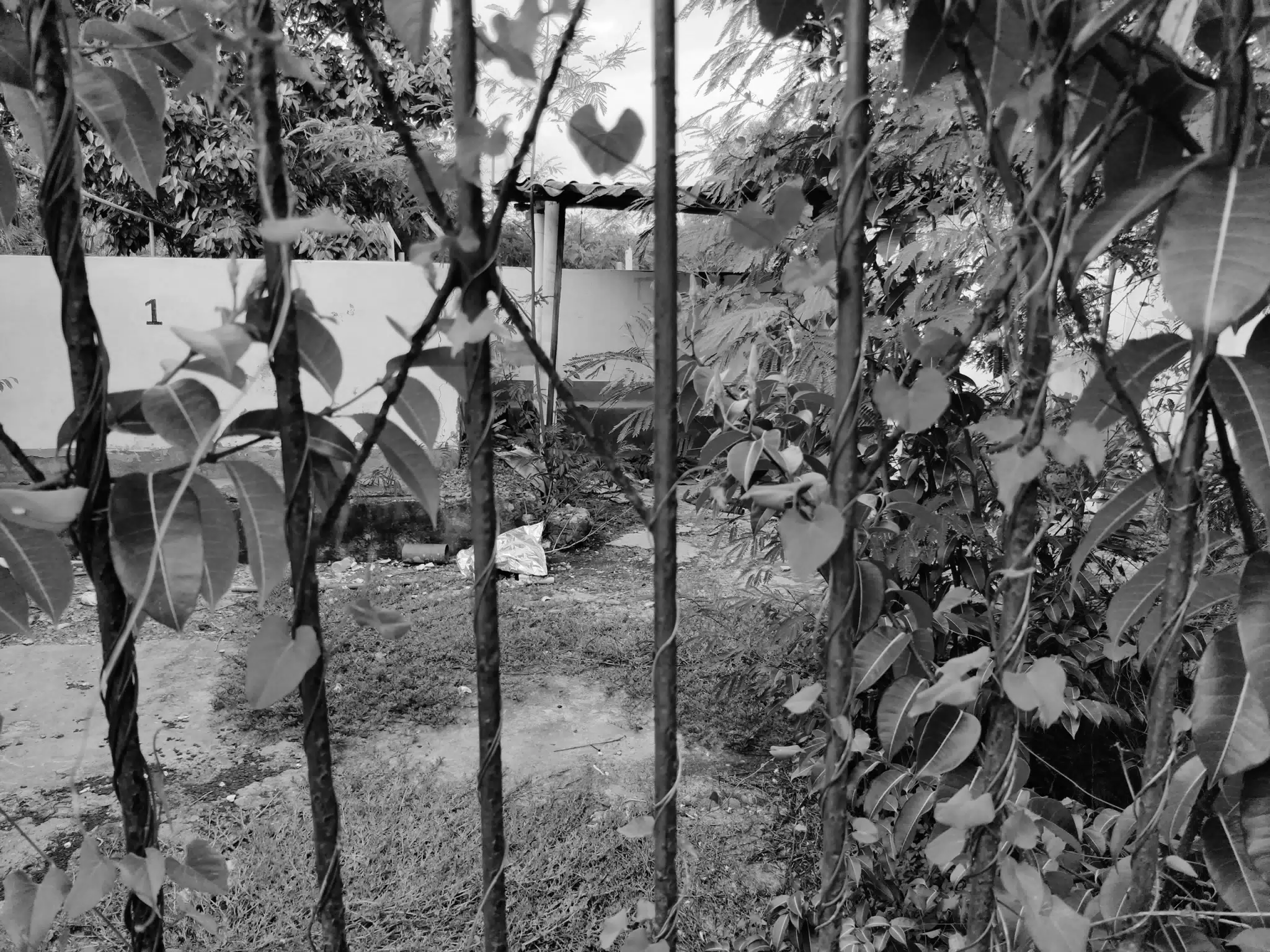 Abandoned Yard - Photowalk July 31