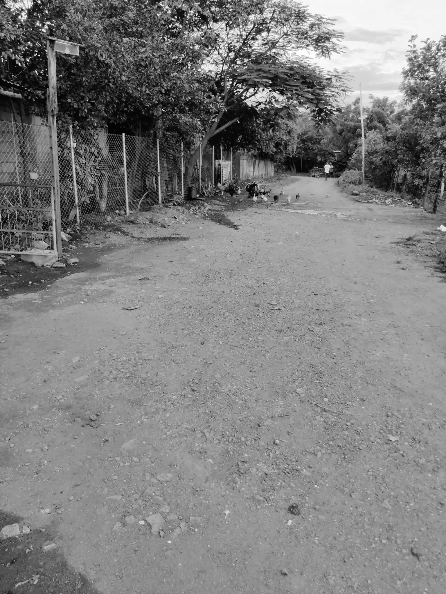 Photowalk July 31