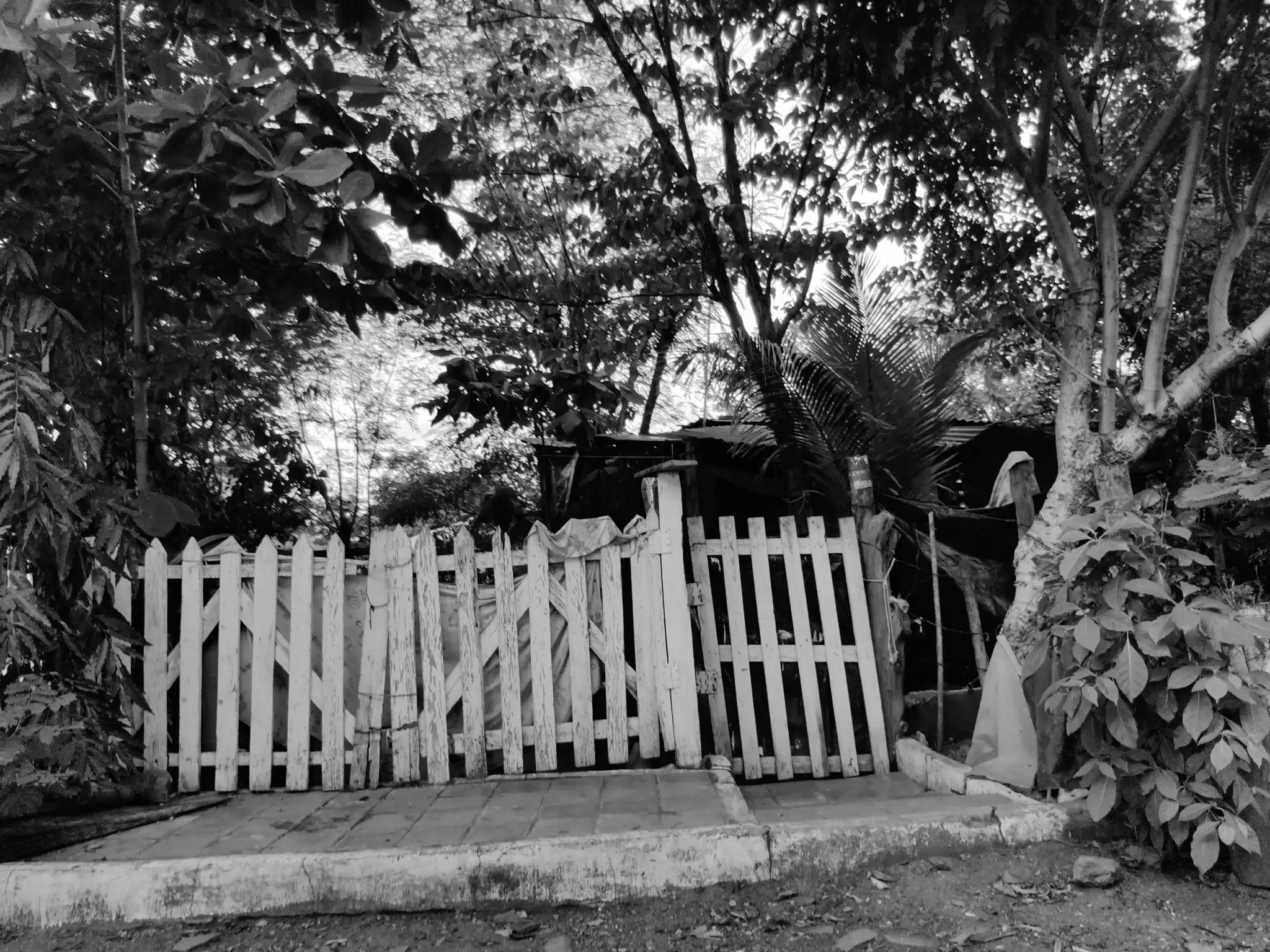 Photowalk July 31