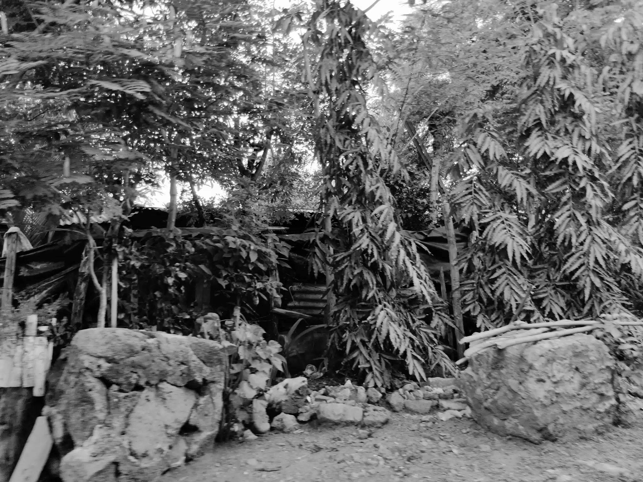 Photowalk July 31