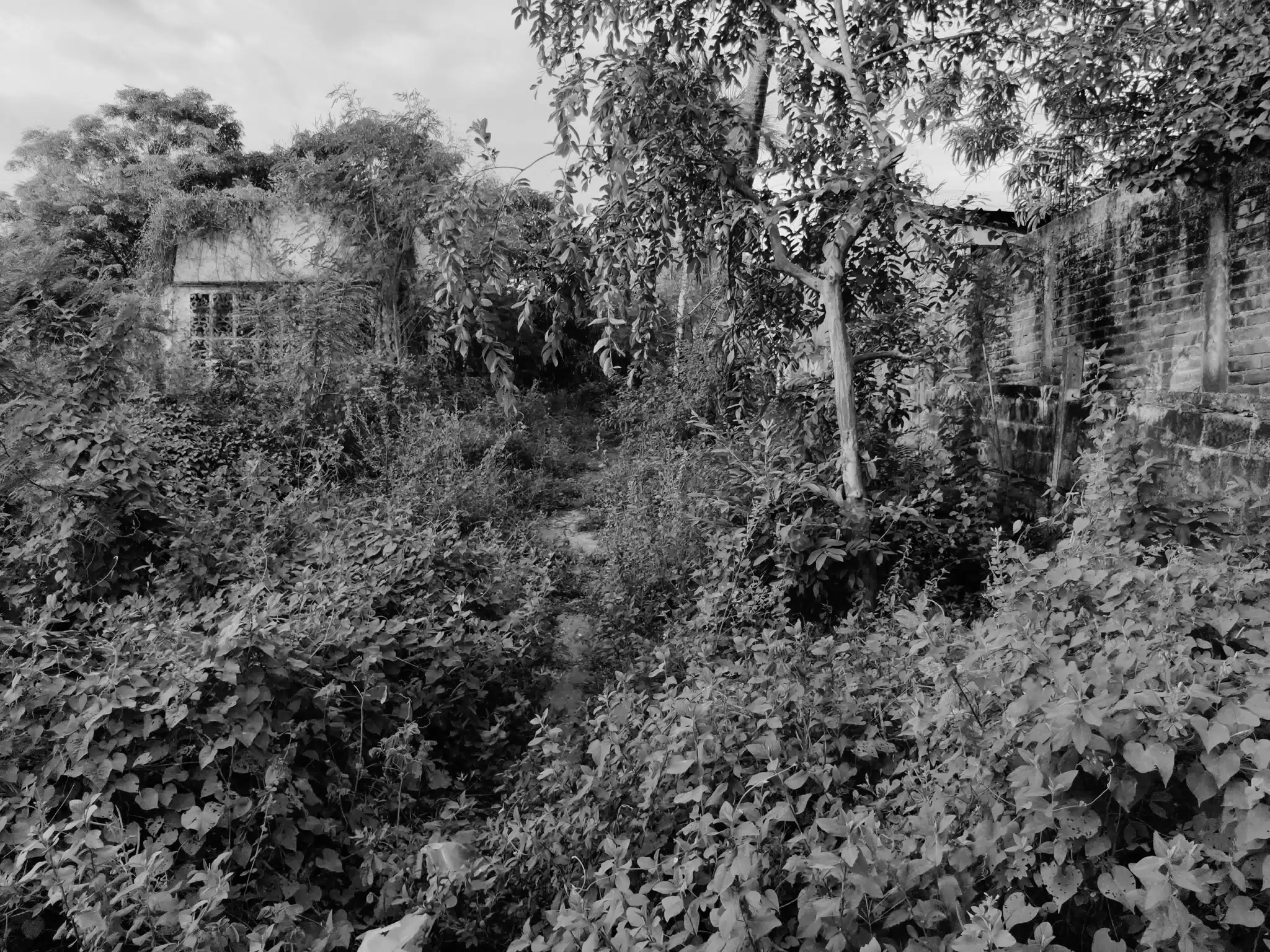 Hotel Taken Back by the Jungle - Photowalk July 31