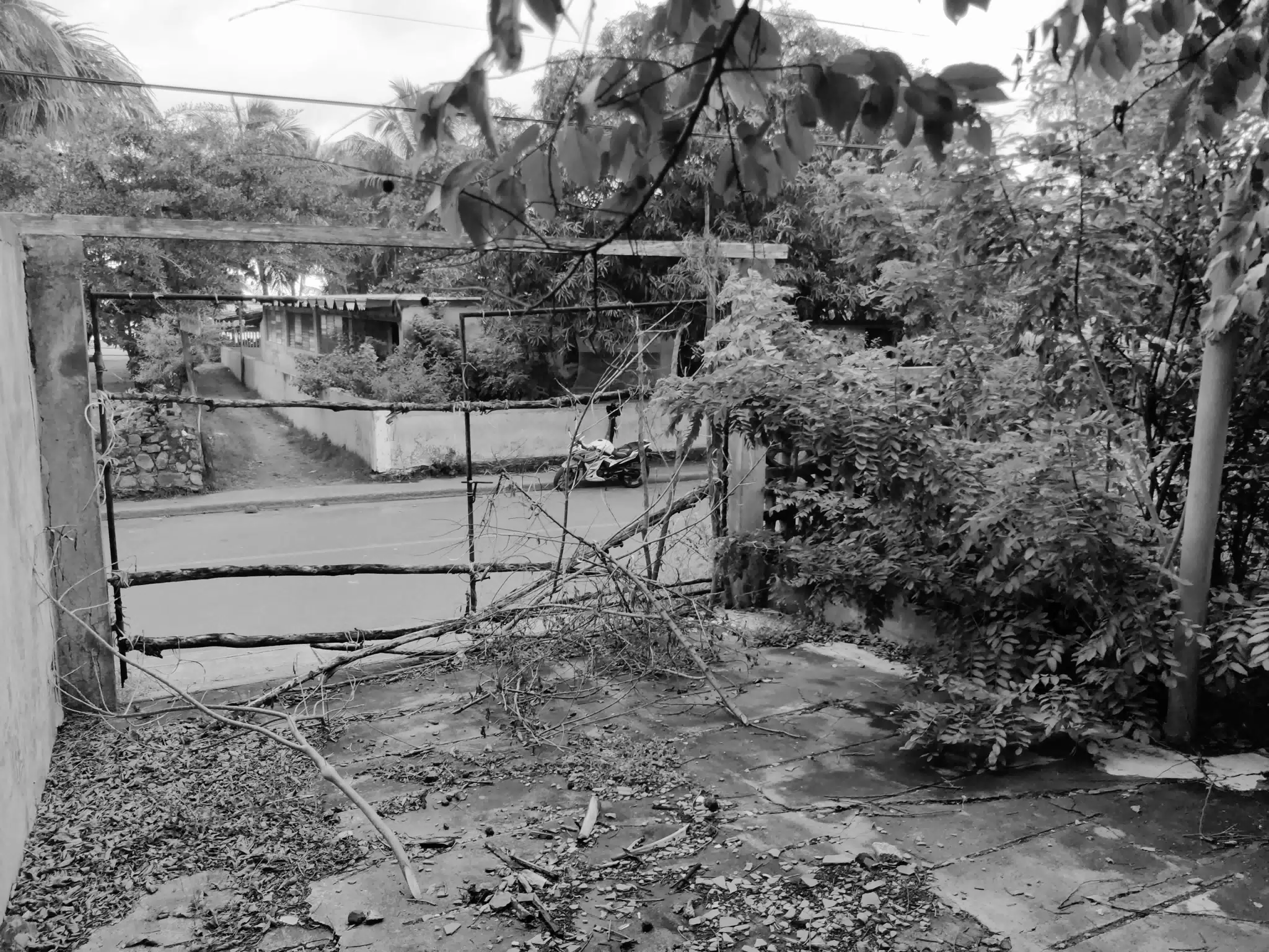 Abandoned House View Across Street